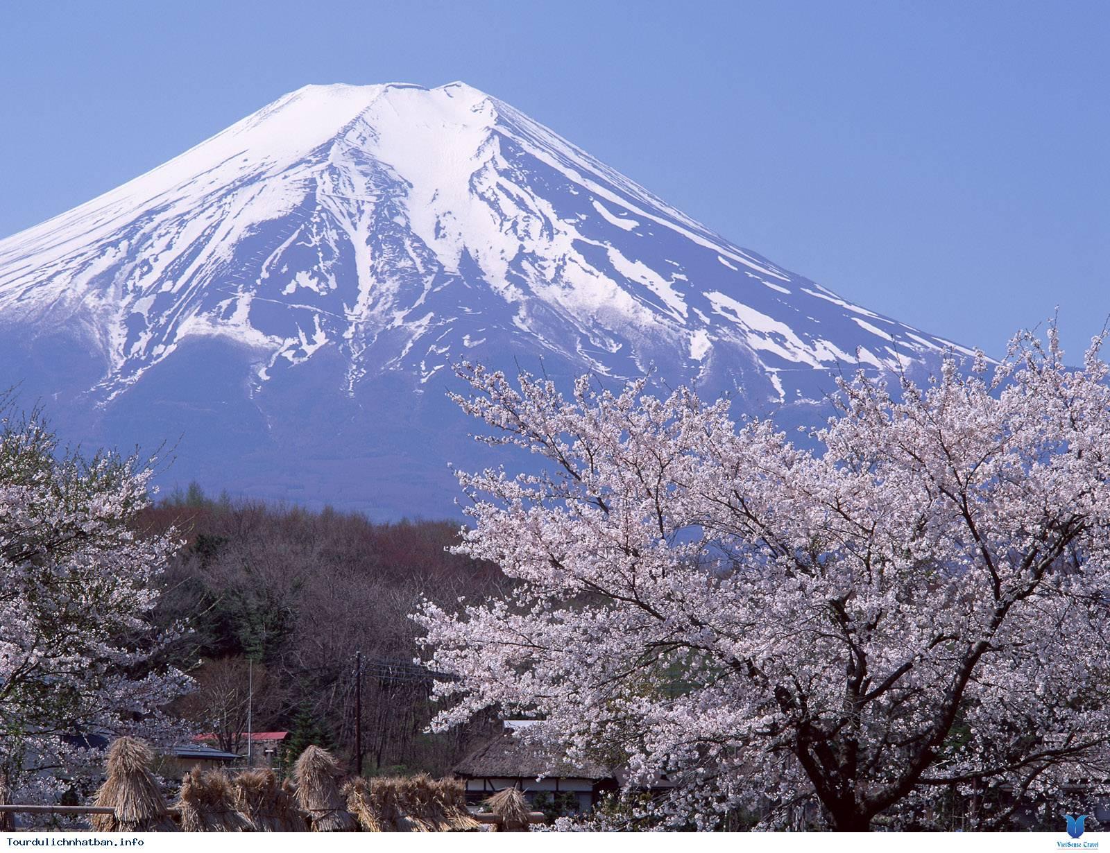 TOKYO – NÚI PHÚ SĨ – OSAKA – NAGOYA